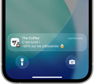 La console de campagnes : rédaction du message, aperçu écran verrouillé, historique des envois